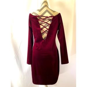 Beauty Wine Velvet Dress